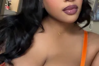 New Treat Visiting Westport / ... - Image 3