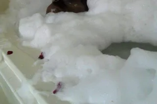 Outcalls incalls wassup hmu !!!! Happy new year!!!! 2026 return customer discounts available!!! hmu who got ⛽ - Image 3